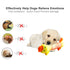Squeaky Stuffed Chew Toys